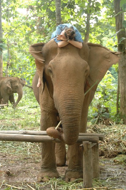 2013 Luang Prabang - 32