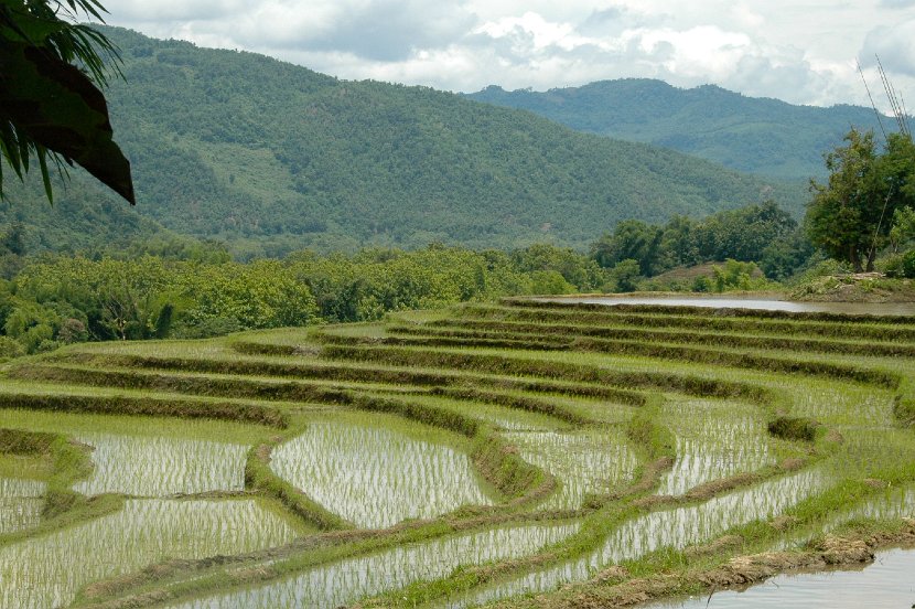 2013 Luang Prabang - 36