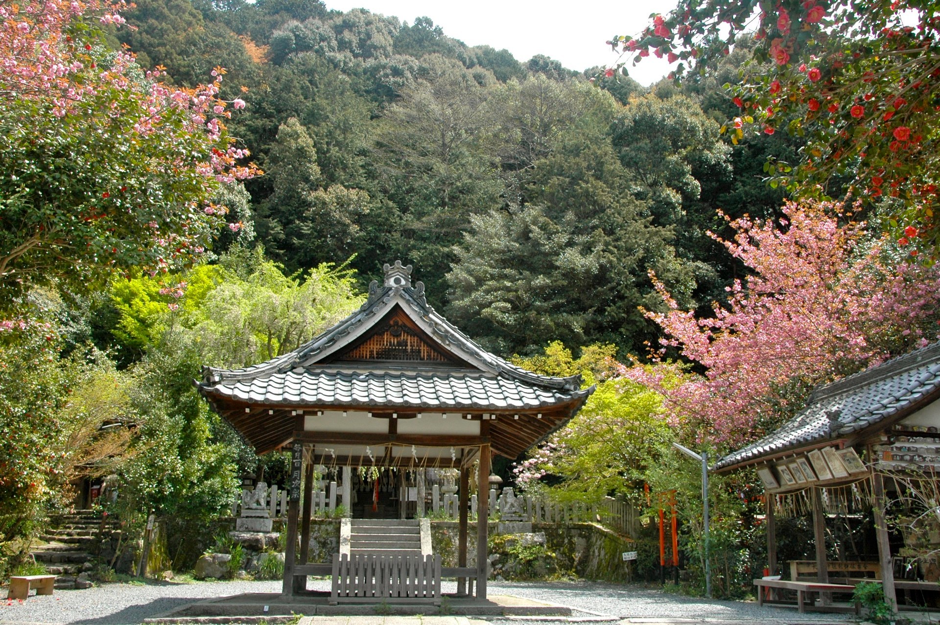 Kyoto -- Temple hidden off the Philosopher's Walk