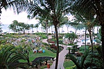 Westin Hotel near El Yunque