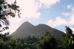 El Yunque Rainforest National Park