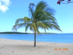 Vieques, the Red Beach.  Possibly the most beautiful beach on Earth, and almost entirely deserted during the 