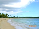Vieques, the Red Beach.  Possibly the most beautiful beach on Earth, and almost entirely deserted during the 